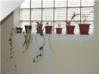 0f650192-krv 004.jpg